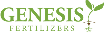 genesis (2)